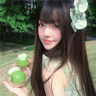 蔷薇处处香